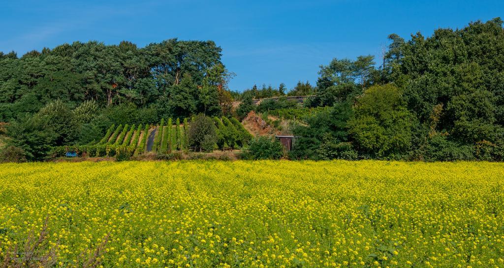 B&B Silentium Tielt Kültér fotó