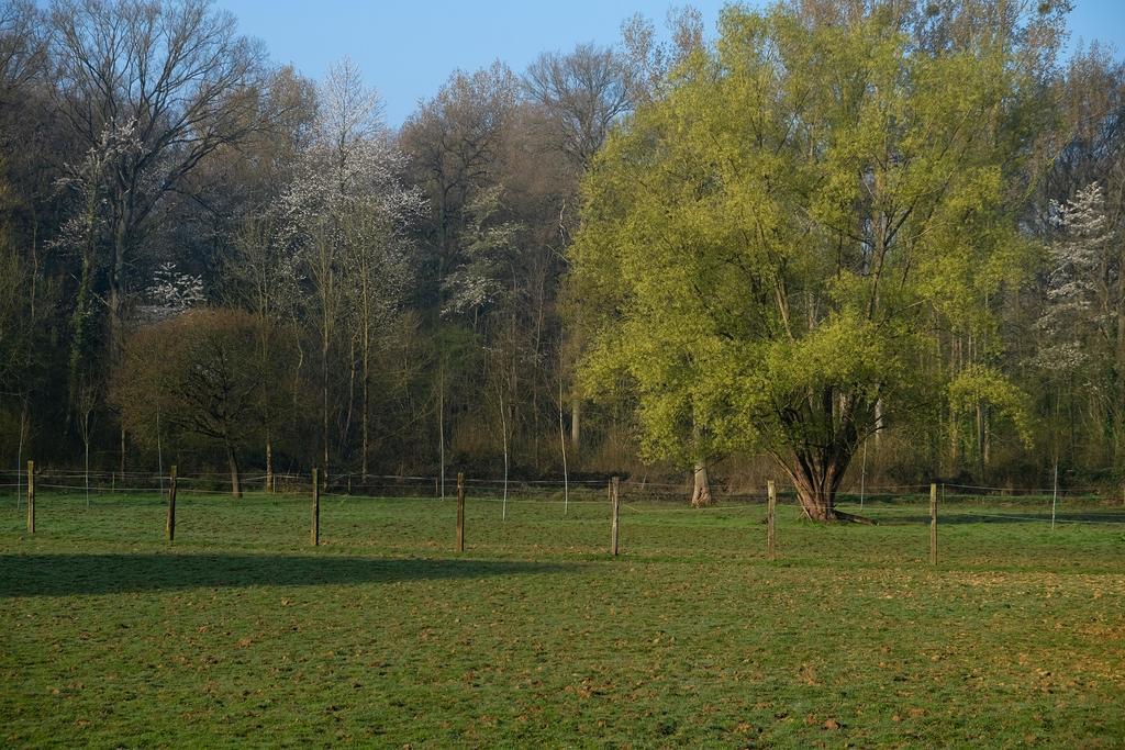 B&B Silentium Tielt Kültér fotó