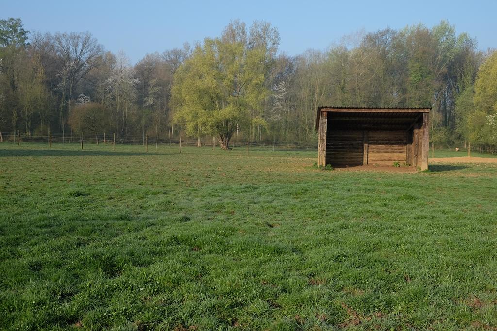 B&B Silentium Tielt Kültér fotó