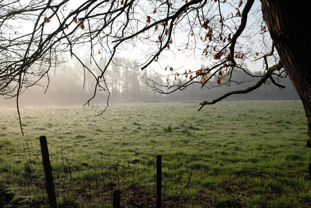 B&B Silentium Tielt Kültér fotó